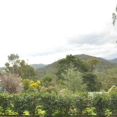 Healesville Maroondah View Motel Exterior foto