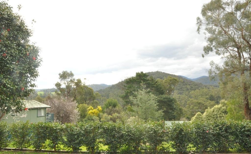 Healesville Maroondah View Motel Exterior foto